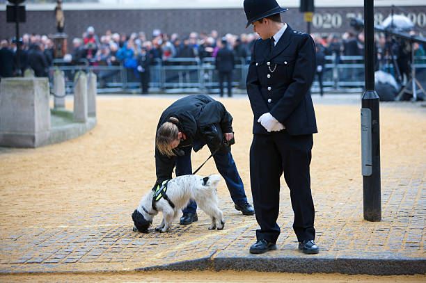 explosivos sniffer cão em londres funeral da senhora thatcher - baroness imagens e fotografias de stock