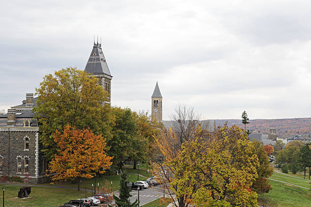 mcgraw torre dell'orologio-la cornell university di ithaca, new york campus - mcgraw foto e immagini stock