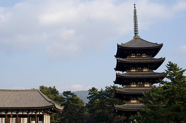 pagoda of kofuku-ji in nara, japan - 興福寺 奈良 個照片及圖片檔