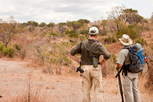 Tanzania, Africa - August 31st 2010A man on holiday standing with his armed safari guide on foot in the African bush observing an elephant close up in the Selous game reserve where walking safaris are permitted.The Selous game reserve is Africa\\'s largest game reserve and home to over half of Tanzania\\'s elephant population.