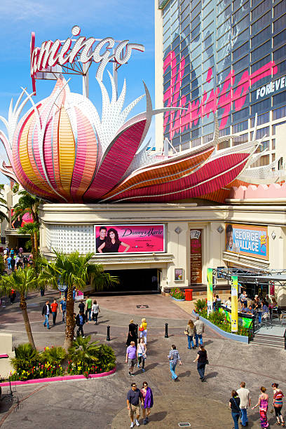 emulsion Armstrong Bevidst The Flamingo Stock Photo - Download Image Now - Flamingo Las Vegas, Color Image, Cultures - iStock emulsion Armstrong Bevidst The Flamingo Stock Photo - Download Image Now - Flamingo Las Vegas, Color Image, Cultures - iStock