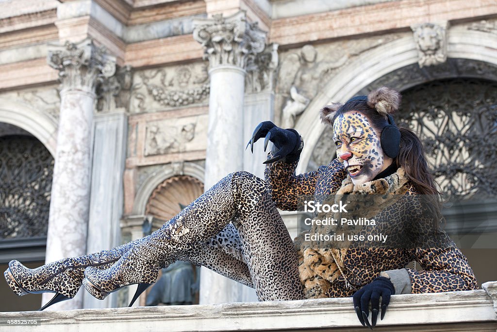 猫のカーニバルマスク 2013 年イタリア、ベニスのサンマルコ - 野生のネコ科動物のロイヤリティフリーストックフォト