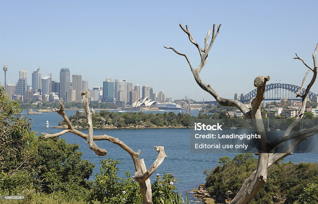 Taronga Skyline von Sydney. - Lizenzfrei Abgestorbene Pflanze Stock-Foto