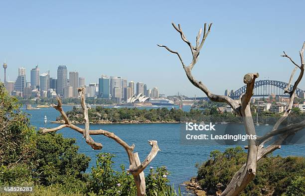 Taronga Skyline Von Sydney Stockfoto und mehr Bilder von Abgestorbene Pflanze - Abgestorbene Pflanze, Australien, Bankenviertel