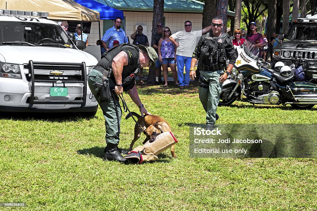 Démonstration K9 militaire - Photo de Adulte libre de droits