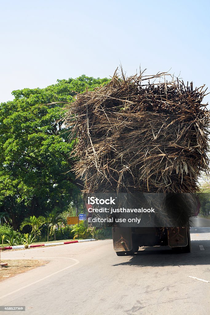 Transporte de bambu - Foto de stock de Editorial royalty-free