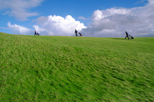 Golf ball on tee. Green grass