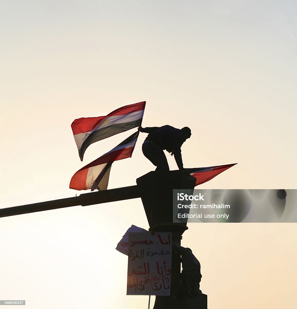 man waving Egyptian flag Cairo, Egypt - February 1, 2011: Man takes to a traffic light posts in El Tahrir square to wave the Egyptian flag high above the crowd. over one million Egyptians gather in downtown Cairo to demand political reforms and for the president to step down. The uprising in Egypt started out from social networks on January 25\'th 2011, following a similar successful uprising in Tunis. Egypt Stock Photo