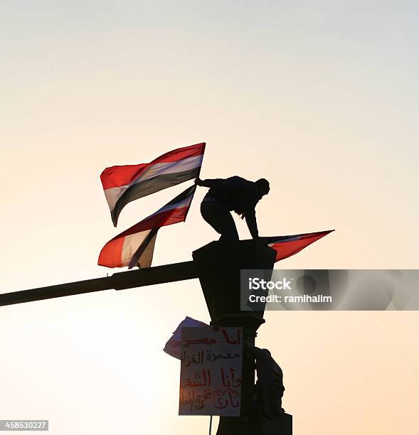 Man Waving Egyptian Flag Stock Photo - Download Image Now - Egypt, Protest, Adult