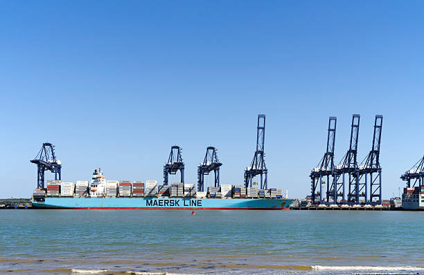 maersk-linie frachtschiff mit kranichen in felixstowe - harbor editorial industrial ship container ship stock-fotos und bilder