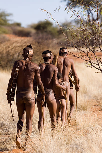 bushman walk Mariental, Namibia - August 19, 2013: early morning for a bushmen walk in the Kalahari desert, few of them are still living in the wild desert. bushmen stock pictures, royalty-free photos & images