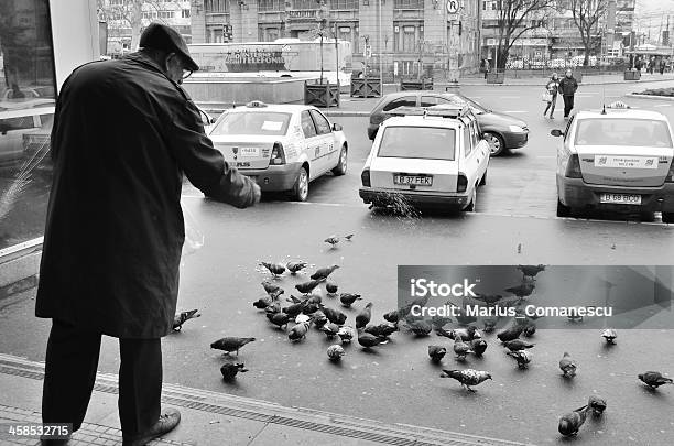 Alter Mann Füttern Tauben Stockfoto und mehr Bilder von Alter Erwachsener - Alter Erwachsener, Ein Mann allein, Eine Person