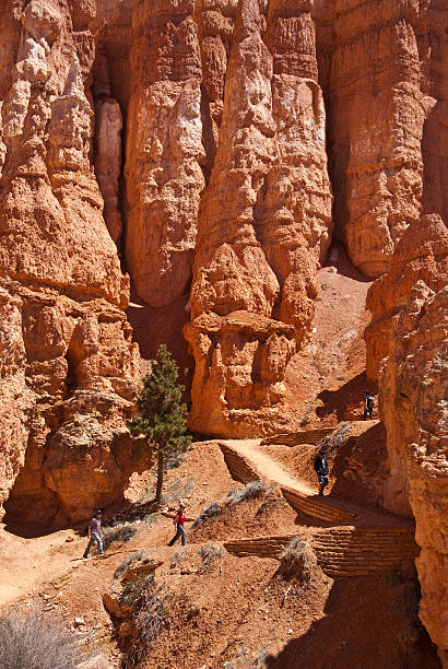 People Hike Through the Hoodoos to Queen's Garden Bryce Canyon National Park, Utah, USA - May 12, 2011: Hikers pass through the hoodoo rock formations on their way to the Queen's Garden. jeff goulden bryce canyon national park stock pictures, royalty-free photos & images