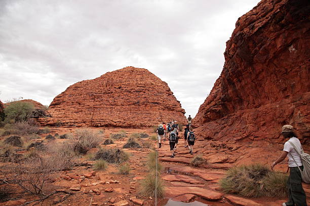 킹스 캐년 산책 - uluru alice springs australia australian culture 뉴스 사진 이미지