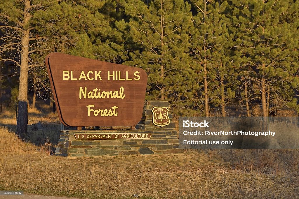 Forêt Nationale des Black Hills - Photo de Arbre libre de droits