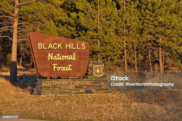 Photo libre de droit de Forêt Nationale Des Black Hills banque d'images et plus d'images libres de droit de Arbre - Arbre, Beauté de la nature, Black Hills