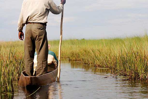 A quiet tranquil evening scene showing the landscape of the Okavango Delta in Botswana.
