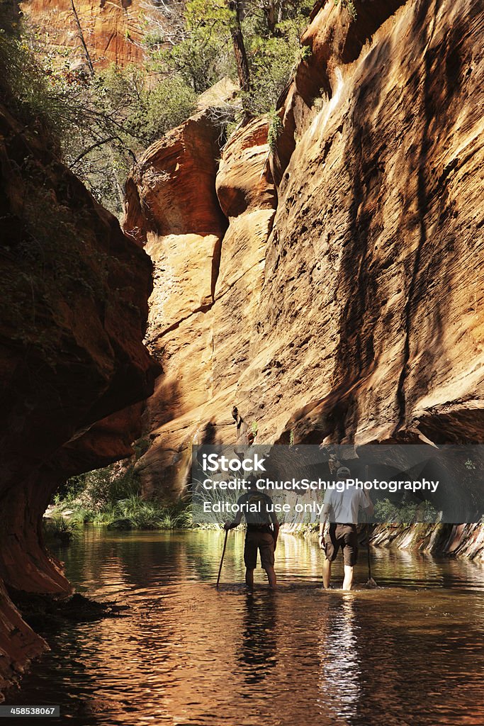 Caminhada Wade Slot Canyon Creek - Royalty-free Sedona Foto de stock