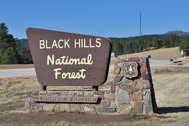 Black Hills National Forest Rapid City, South Dakota, USA - April 2, 2013: Sign to the entrance of the Black Hills National Forest outside of Rapid City. black hills national forest stock pictures, royalty-free photos & images