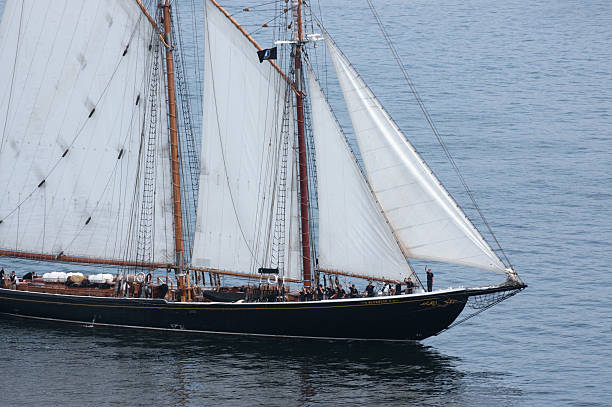 bluenose ii - halifax tall ship sailor sailboat fotografías e imágenes de stock