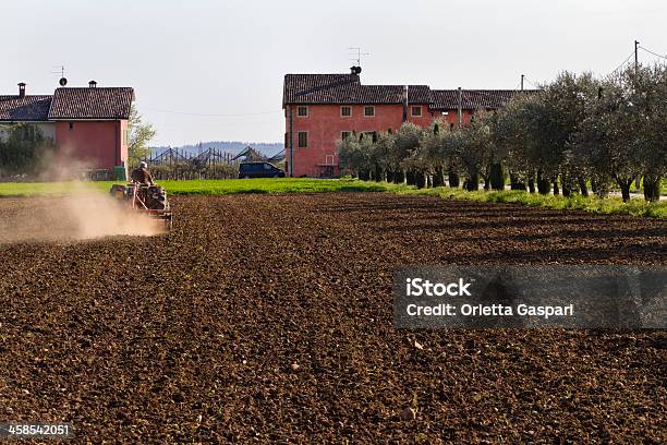 Lavoura Campos Valpolicella Itália - Fotografias de stock e mais imagens de Adulto - Adulto, Agricultor, Agricultura