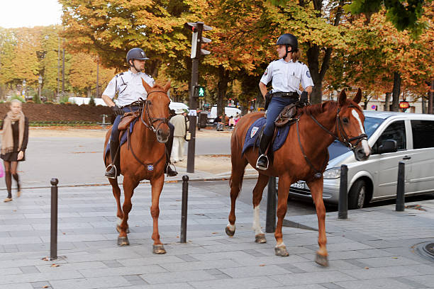 mounted police, patrol corsa di cavalli a parigi-xlarge - honor guard protection security guard tourist foto e immagini stock