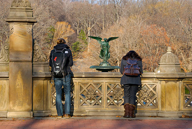 central park turistas com vista para a fonte bethesda, cidade de nova york - editorial shadow new york city manhattan - fotografias e filmes do acervo