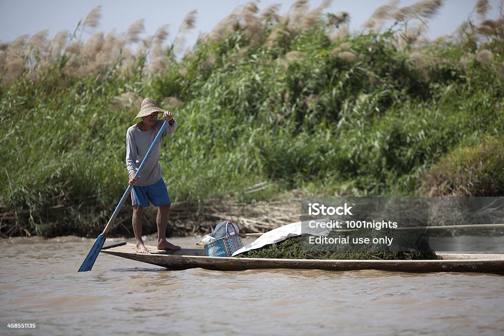 Agricultura no Lago Inle, Myanmar - Royalty-free Alga marinha Foto de stock