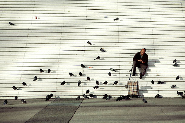 Paris, France  - September, 9 2007: Relaxed Senior Man sitting on steps of La Defense district in Paris, using his mobile phone, evening shot, lots of pigeons waiting for food around him, his luggage bag is near.