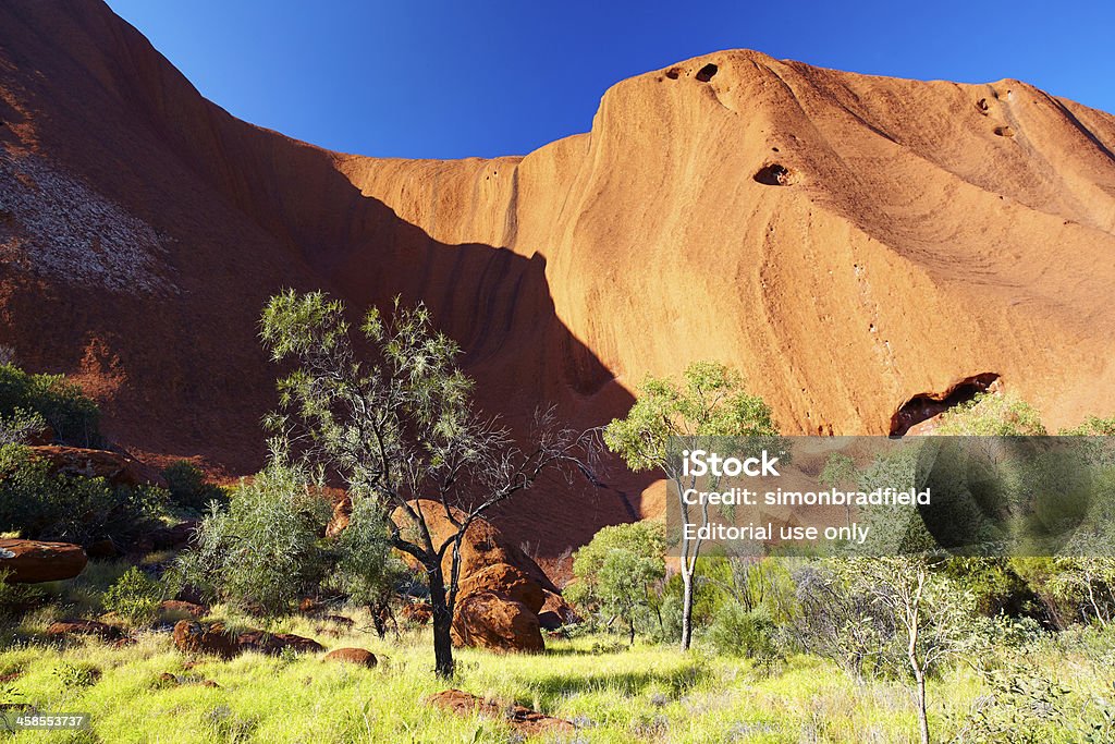 エアーズロック（ウルル）&Eucalypt 木オーストラリア内陸部 - アウトバックのロイヤリティフリーストックフォト
