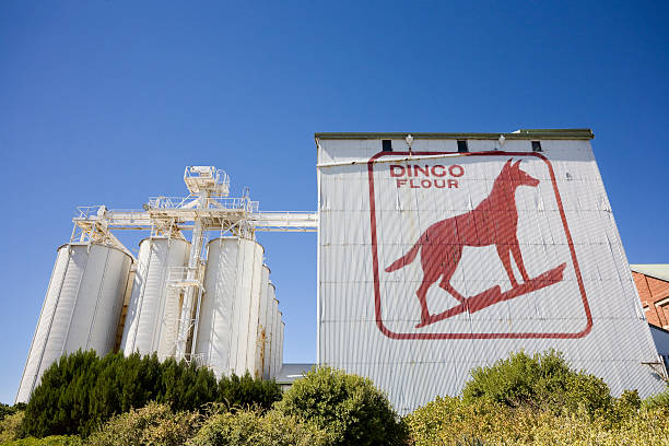 Dingo Flour Landmark Fremantle, Australia April 4th 2011. A heritage listed, operating mill, Dingo Flour has been operating since 1922. Myth has it that Alan Bond painted this iconic landmark located on the coast, North Fremantle. old flour mill stock pictures, royalty-free photos & images