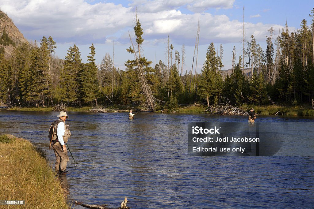 Pesca a mosca sul Fiume Madison Parco Nazionale di Yellowstone - Foto stock royalty-free di Acqua