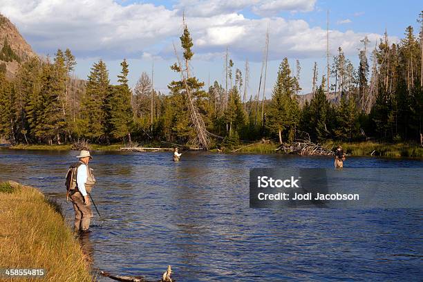 Pesca A Mosca Sul Fiume Madison Parco Nazionale Di Yellowstone - Fotografie stock e altre immagini di Acqua