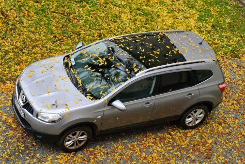 Eisenhuettenstadt, Germany - September 27, 2010: Sport Utility Vehicle Nissan Qashqai +2 is under an autumn tree. Nissan Qashqai +2 launch in October 2008. Nissan is a Japanese automotive manufacturer and the third largest vehicle manufacturer in the world.