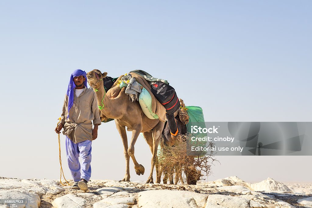 Wielbłąd Caravan - Zbiór zdjęć royalty-free (Egipt)