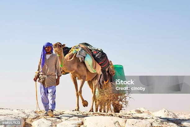 Wielbłąd Caravan - zdjęcia stockowe i więcej obrazów Egipt - Egipt, Afryka, Afryka Północna