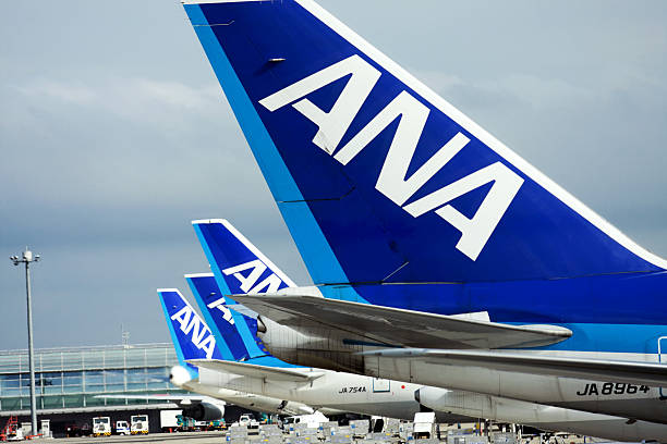 ana jet aviones en aeropuerto de haneda - named airline fotografías e imágenes de stock