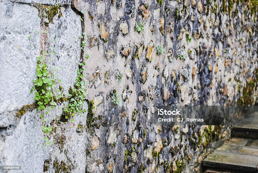 古代の石の壁、地衣類 - ひびが入ったのロイヤリティフリーストックフォト
