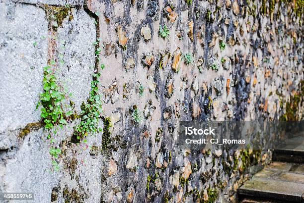 Parede De Pedra Antiga Com Líquen - Fotografias de stock e mais imagens de Abstrato - Abstrato, Antigo, Antiguidade