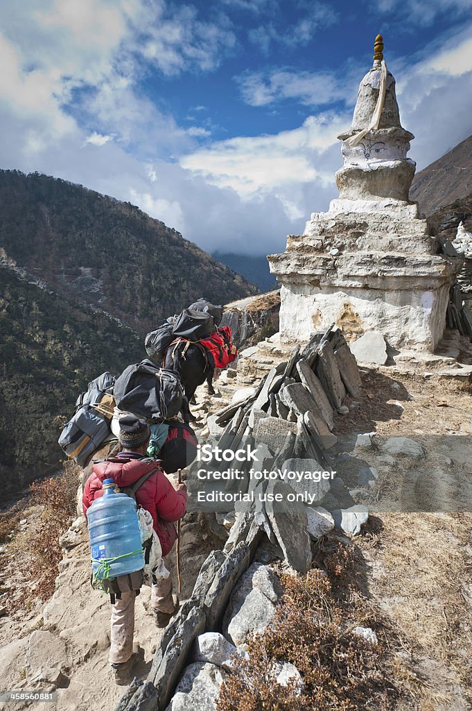 Непал искусственного меха, езда yaks прошлом Буддийские ступа Himalaya mountain trail - Стоковые фото High Country роялти-фри