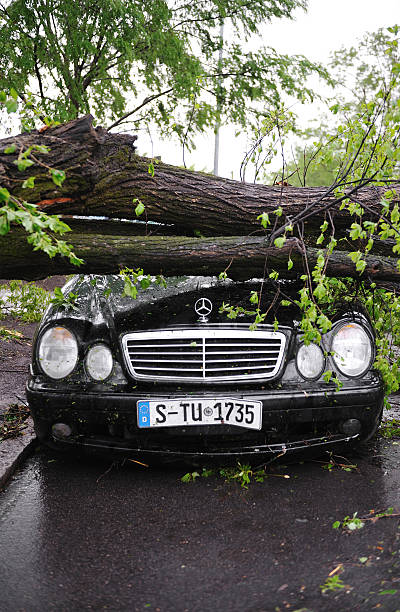 tornade destruction de voitures, à raleigh, en caroline du nord - tornado storm road disaster photos et images de collection