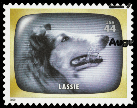 Sacramento, California, USA - June 8, 2012: A 2009 USA postage stamp with a photo from the classic 1950s TV comedy series Lassie. Lassie the TV series first aired in 1954 on CBS, continuing for 17 years until 1971.