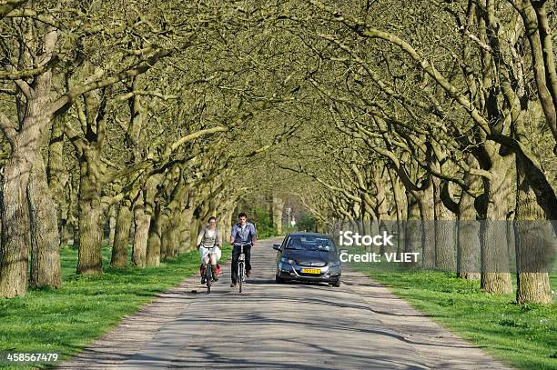 Na Rowerze Para W Kraju Droga W Niderlandach - zdjęcia stockowe i więcej obrazów Aktywny tryb życia - Aktywny tryb życia, Betuwe, Bezlistne drzewo