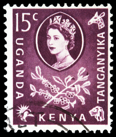 Vilnius, Lithuania - May 27, 2013: Post stamp from East Africa, Elizabeth II Queen Great Britain and branch with coffee berries and leaves, circa 1954