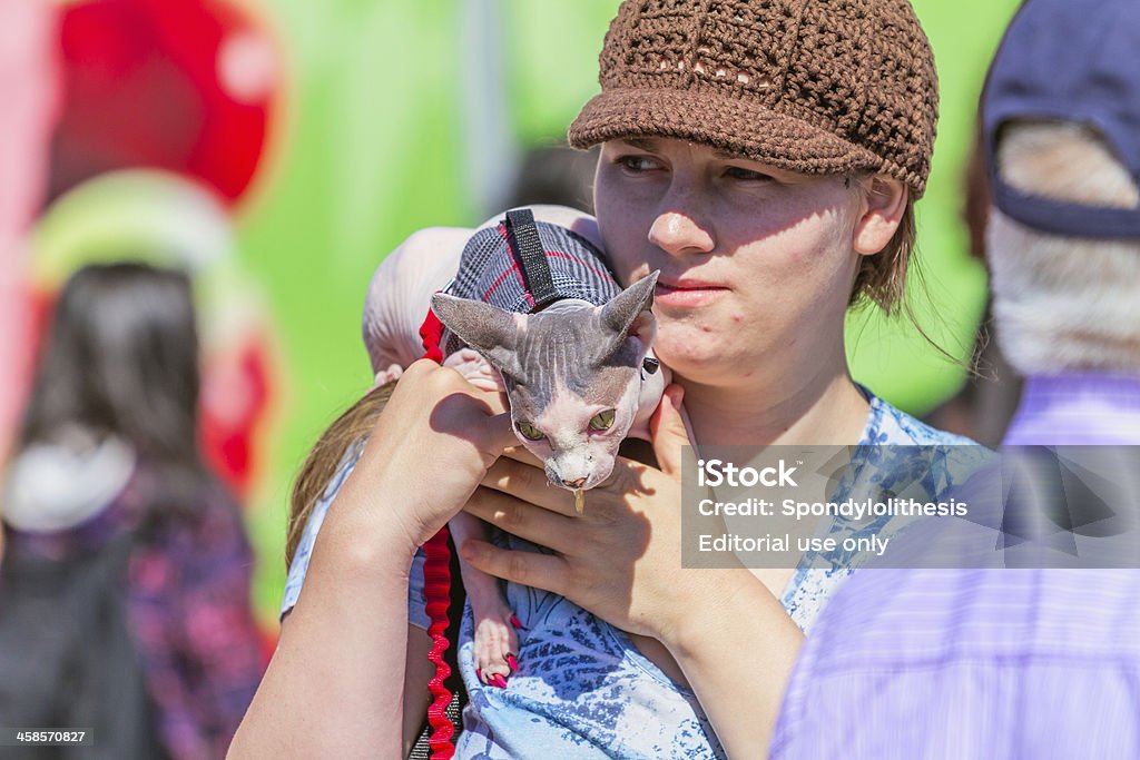 Kobieta trzymać Kot z Sfinks (peterbold) - Zbiór zdjęć royalty-free (Część ciała zwierzęcia)