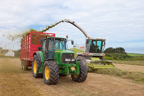 収穫サイレージの干し草 - silage field hay cultivated land ストックフォトと画像