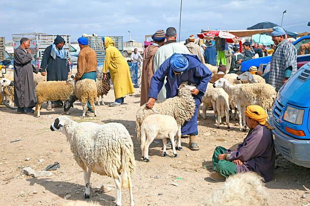 Livestock Market Taroudant Morocco stock photo