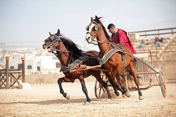 Jerash, Jordan - December 20, 2010 : A Roman general from the Red Faction rides in his chariot through the arena,  as part of his performance at a hippodrome in Jerash, situated in the north of Jordan.Jerash is known for the ruins of the Greco-Roman city of Gerasa, also referred to as Antioch on the Golden River. The Roman Army and Chariot Experience (RACE), in co-operation with the Jordan Ministry of Tourism and the Jordan Tourism Board, have introduced a show featuring Roman Army warfare techniques, gladiators and Roman chariots races, to bring to life historical events that took place in the ancient arena.