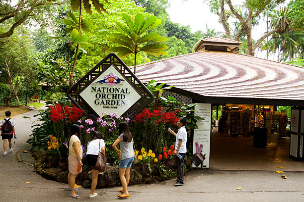 giardino nazionale delle orchidee - editorial asia singapore tourist foto e immagini stock