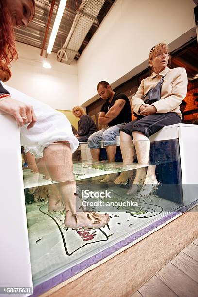 Ludzi Ryb Masaż Stóp W Londynie - zdjęcia stockowe i więcej obrazów Akwarium - Akwarium, Akwarium dla rybek, Anglia